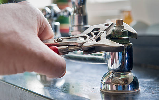 Best Flood damage cleanup  in Rosedale, MD