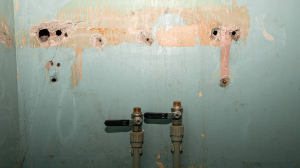 Best Flooded house restoration  in Rosedale, MD