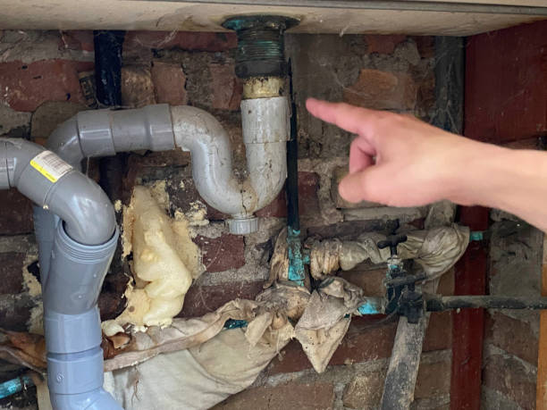 Best Mold removal after water damage  in Rosedale, MD