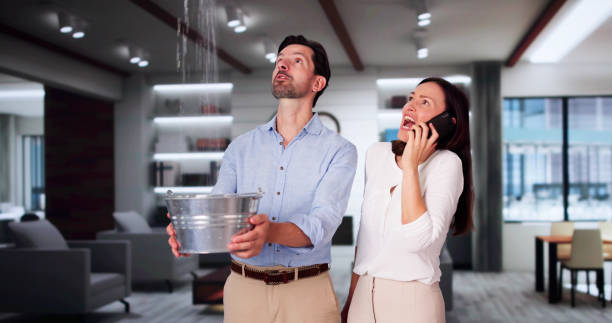 Best Water damage contractors near me  in Rosedale, MD